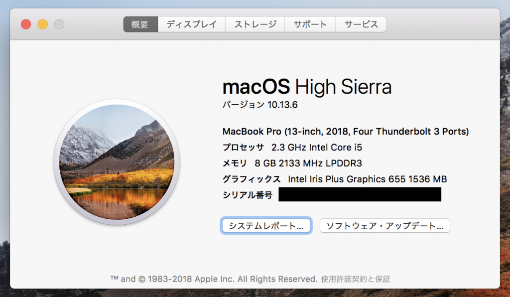 MacBook Proのシステム情報画面